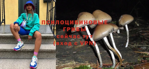 скорость mdpv Новозыбков