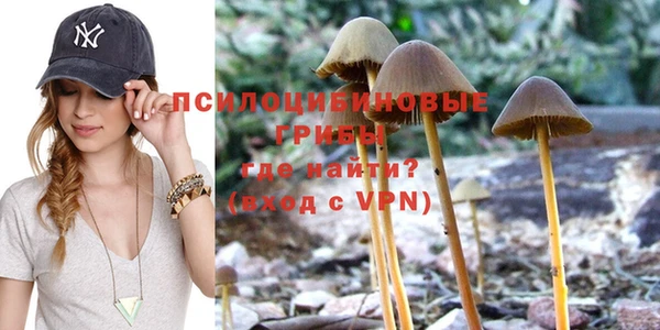 apvp Новокубанск
