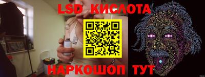 СК Кингисепп