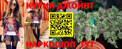 СК Кингисепп