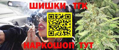 СК Кингисепп