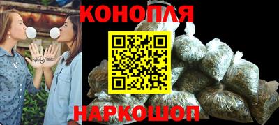 СК Кингисепп