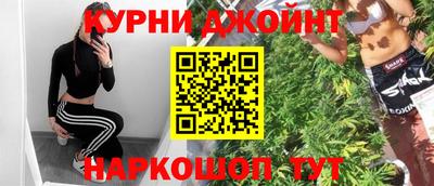 СК Кингисепп