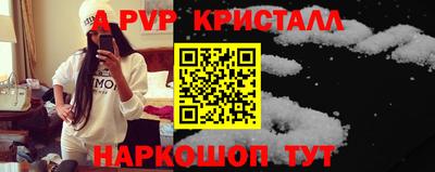 СК Кингисепп