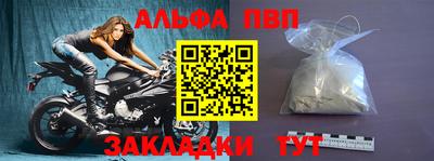 СК Кингисепп