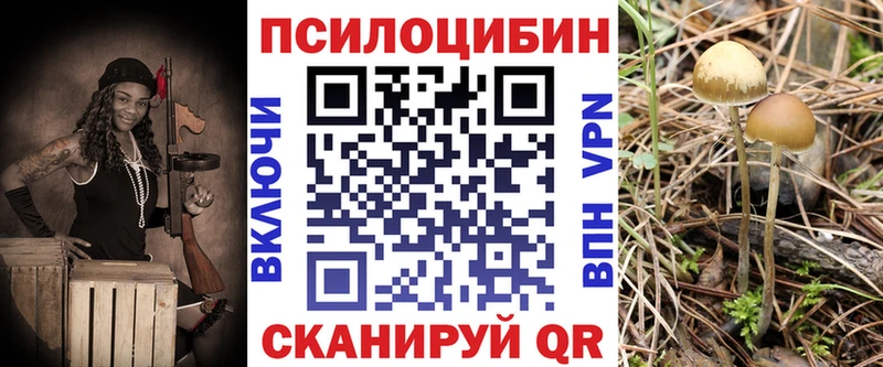 OMG вход  Светлоград  Псилоцибиновые грибы Psilocybe 