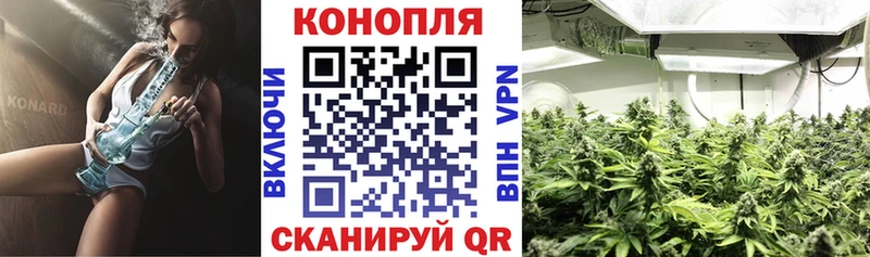 Канабис семена  Светлоград 